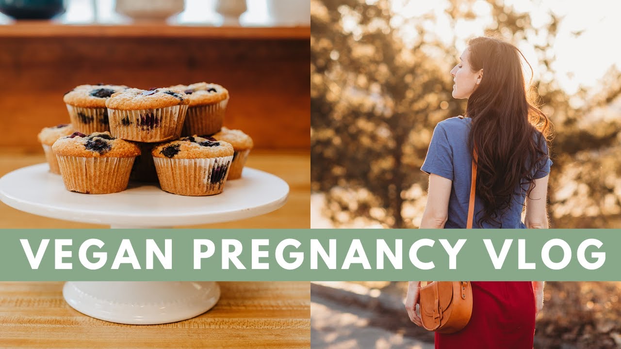 VEGAN PREGNANCY VLOG Blueberry Muffin Recipe, Midwife Appointment