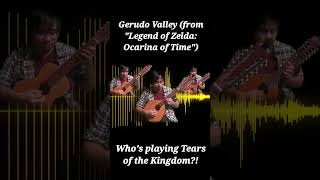 Excited for Tears of the Kingdom?!? #loz #legendofzelda #gerudovalley #oot #totk #tearsofthekingdom