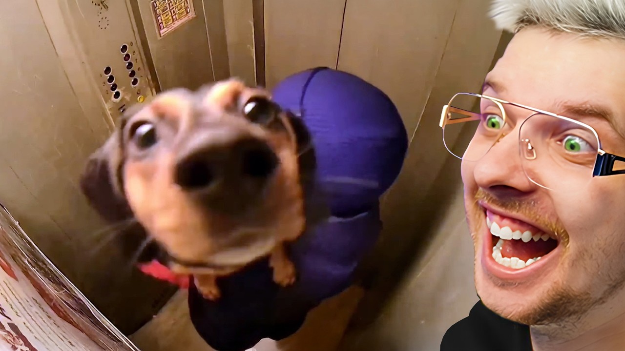 NAJGŁUPSZE POMYSŁY NA ŚWIECIE! #8 🤣🤣