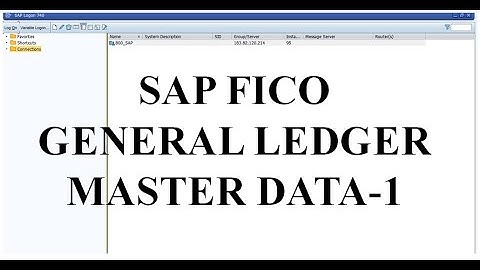 SAP FICO General Ledger Accounting Master Data Part -1