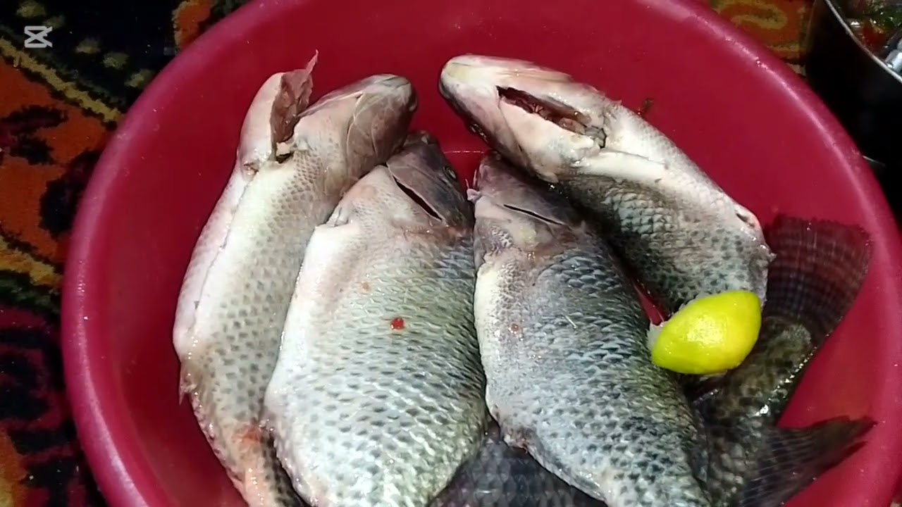 فطارنا النهارده سمك مقلي ومشوى اول مره اجرب اشوى السمك على البوتجاز بس طلع تحفه😘