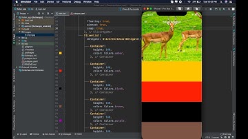 SliverAppBar in Flutter