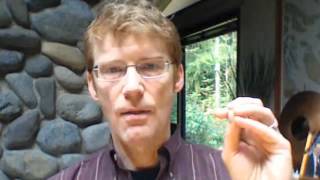 Elemental Design Patterns: Architecture is Infrastructure