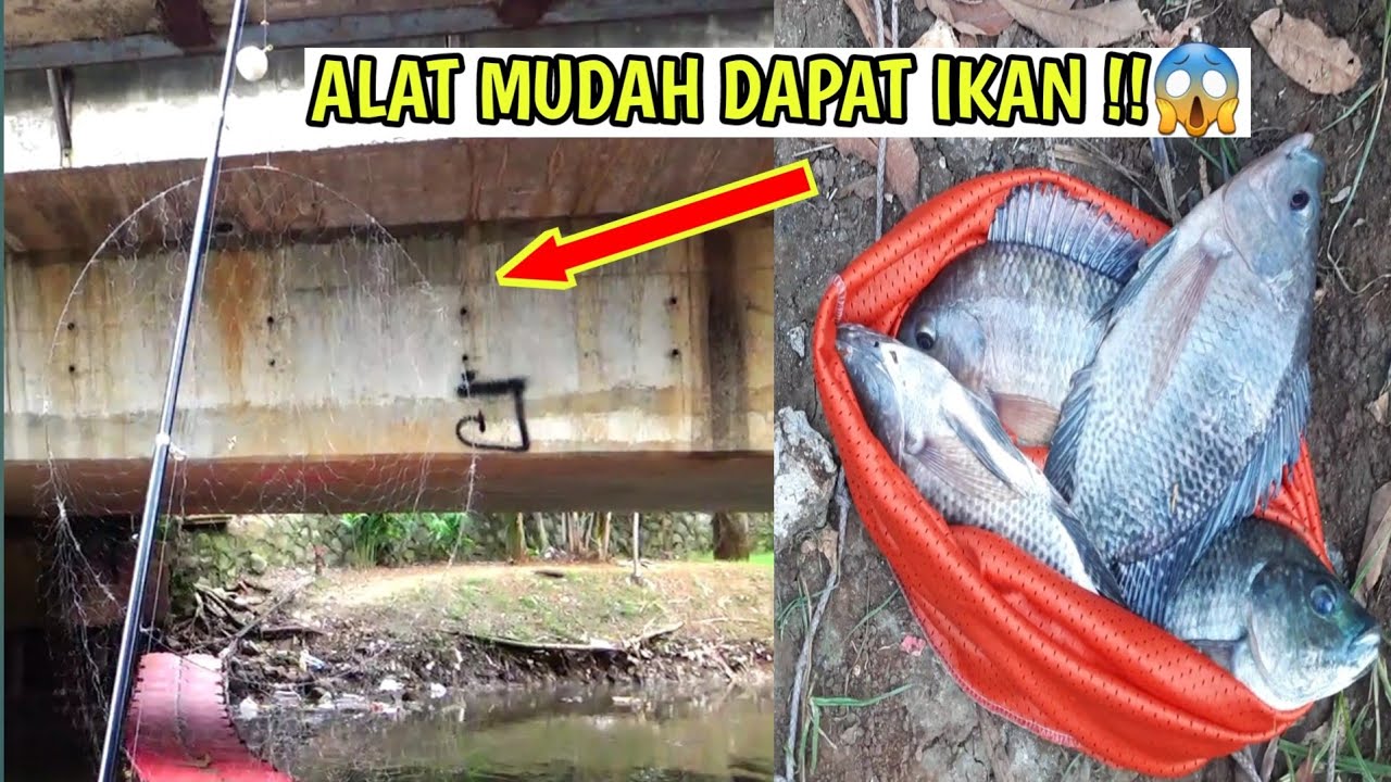 Mancing jaring di sungai arus pakai teknik kolong⁉️