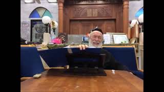 הרב יצחק זילברשטיין - הדג נגד הדגים || ש"י ✔