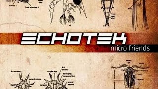 Echotek - Audio Slave