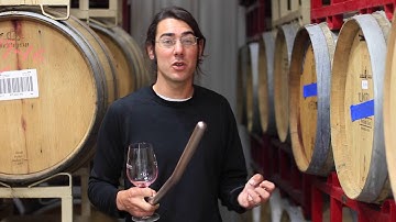 Notes From the Winemaker - Barrel Tasting