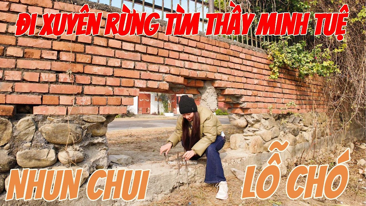 XUYÊN RỪNG ĐI TÌM THẦY MINH TUỆ - Nhun Chui Lỗ Chó Vượt Rào Để Quay Thầy Và Các Sư Phụ Khất Thực