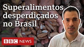 Os superalimentos desprezados que poderiam ajudar a reduzir a fome no Brasil