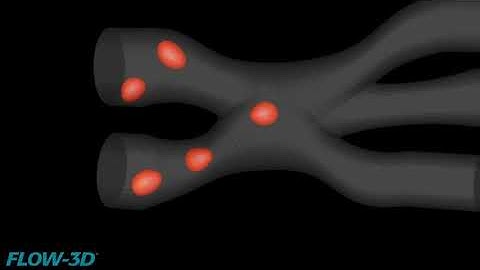 Hemodynamics: different red blood cells flowing in a narrow vein simulated with FLOW-3D