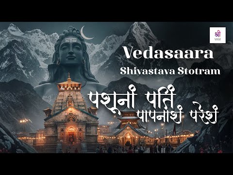 Pashunam Patim Papanasham | Shiv Stuti | Shree Dhun