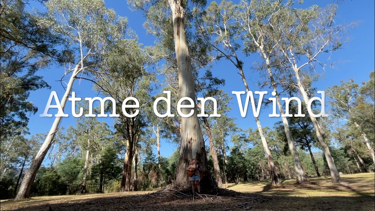 ATME DEN WIND - Nancy Haywood (432 Hz Herzschlag der Erde)