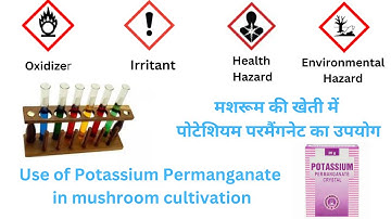 Mushroom Cultivation# Use of Potassium Permanganate in mushroom cultivation