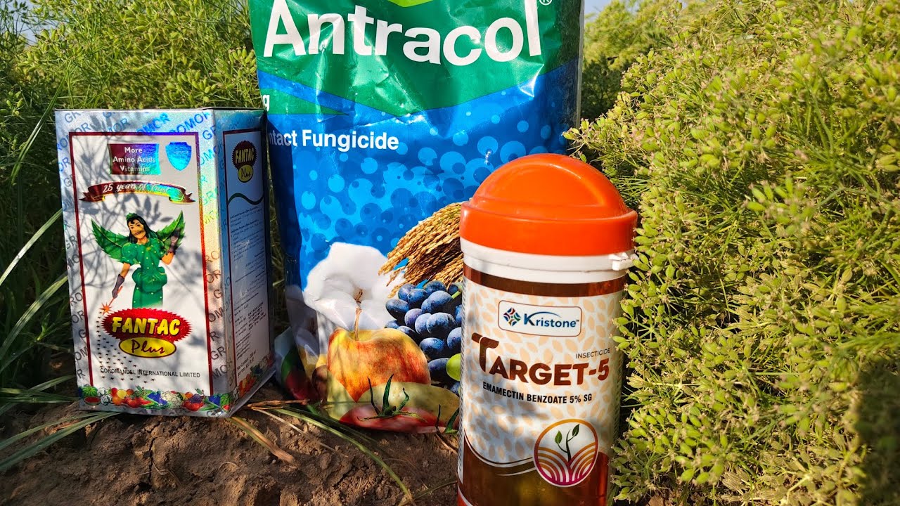 જીરામા ફેન્ટેક નો સ્પ્રે ફેબ્રુઆરી 28, 2026