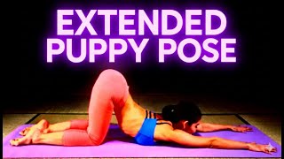 Extended Puppy Pose Yoga For Beginners At Home