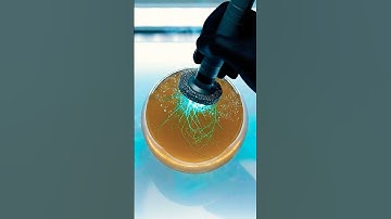 Sci-Fi Diamond Coring Tool Slices Quantara BioGel Orb ASMR