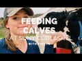 Feeding Calves at SUNY Cobleskill w/ Evelyn