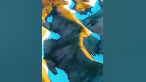 سورة النبأ