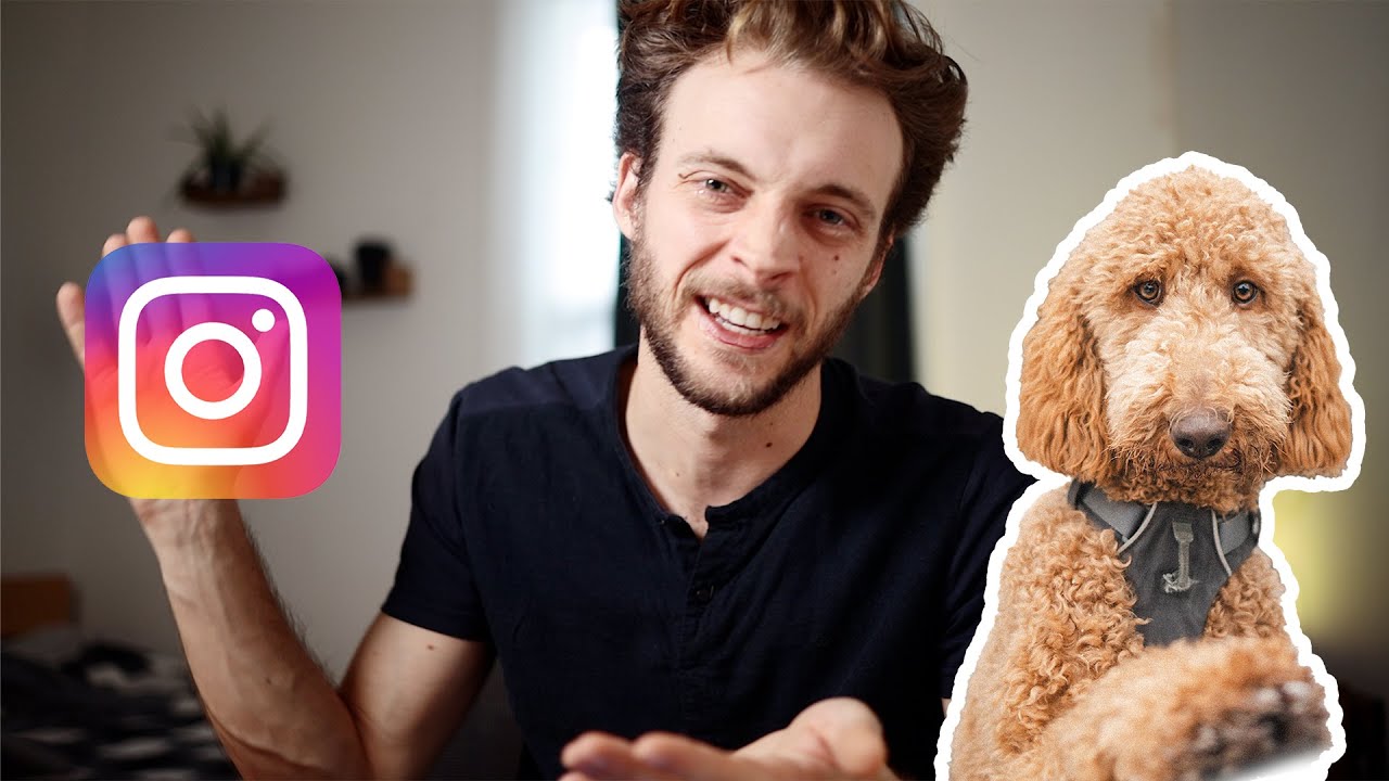 How to Start a Dog Photography Business + more questions answered