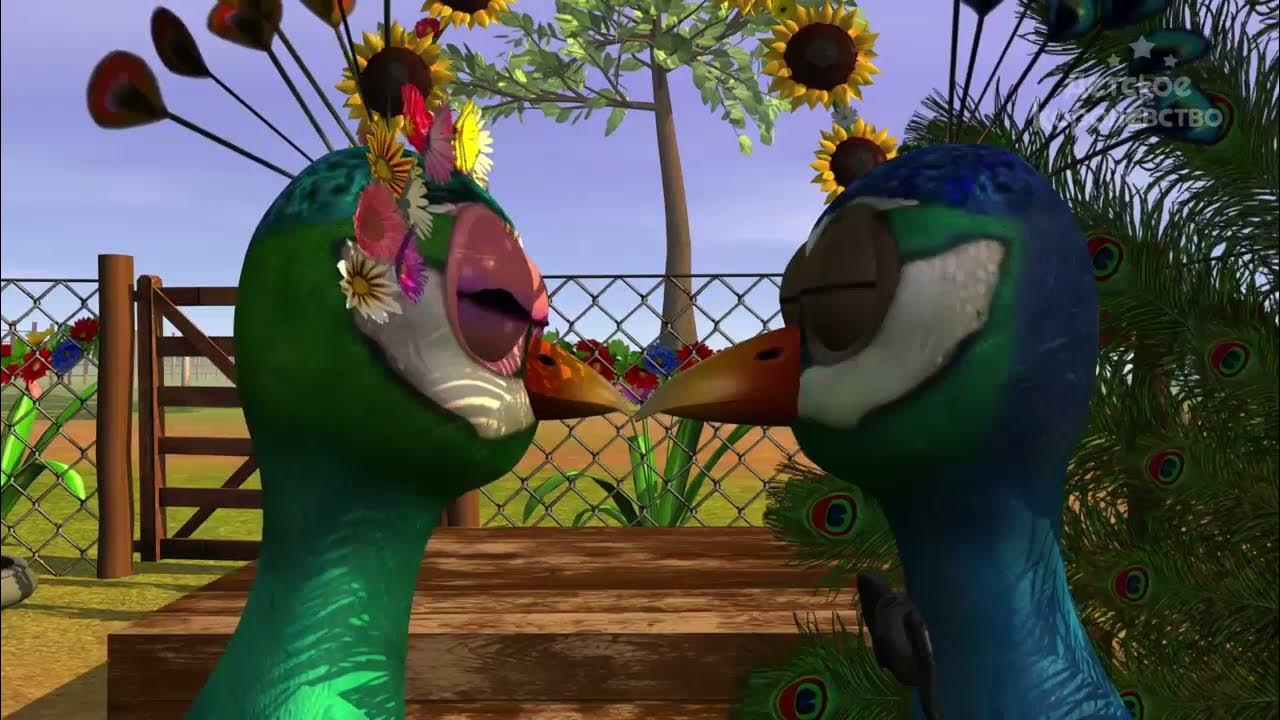 El Pavo y la Pava Canciones