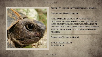 Comment calculer le poids d'une tortue Hermann ?