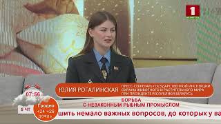 Добрай раніцы, Беларусь! БОРЬБА С НЕЗАКОННЫМ РЫБНЫМ ПРОМЫСЛОМ