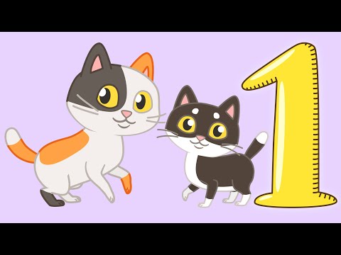 Большой сборник - Песни и мультфильмы про кошек -
