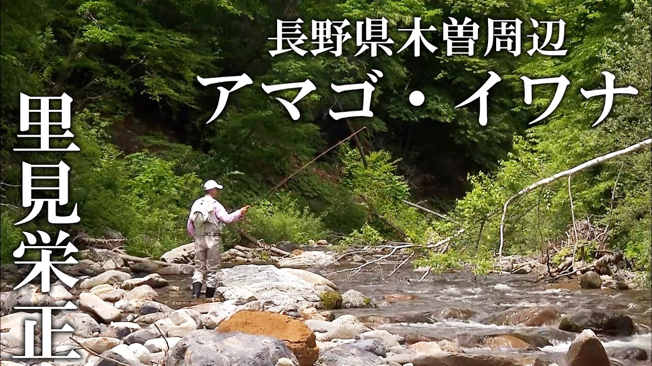 夏の渓流に癒される。里見栄正さんのフライフィッシング、タナビラ・ヤマトイワナ 1/2 『フライギャラリー』【釣りビジョン】
