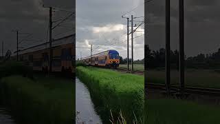 DDZ in the Netherlands! #train #train #railtrack #trainspotting #railwaycontent