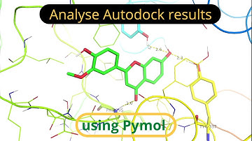 Autodock-resultaat eiwit-ligandinteractieanalyse met behulp van pymol | pymolbiomoleculen