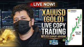 🔥 22  May 2026 Live Gold Signals Trading MT5 EA Bot – XAUUSD Copy Trading MT5 EA