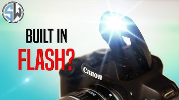 Can You Use the Built in Flash for Macro Photography? Let