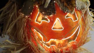 Fiber Optic Jack o' Lantern Halloween Pumpkin Color Changing Scarecrow Hay