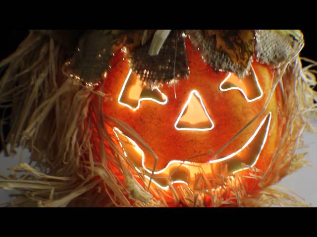Fiber Optic Jack O Lantern Halloween Fiber Optic Light Up Scarecrow