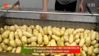 Brush Potato washing and peeling machine