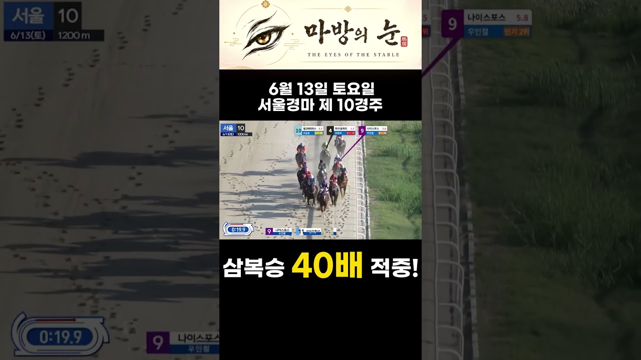 6월 13일 서울 10경주 삼복승 40배 적중!