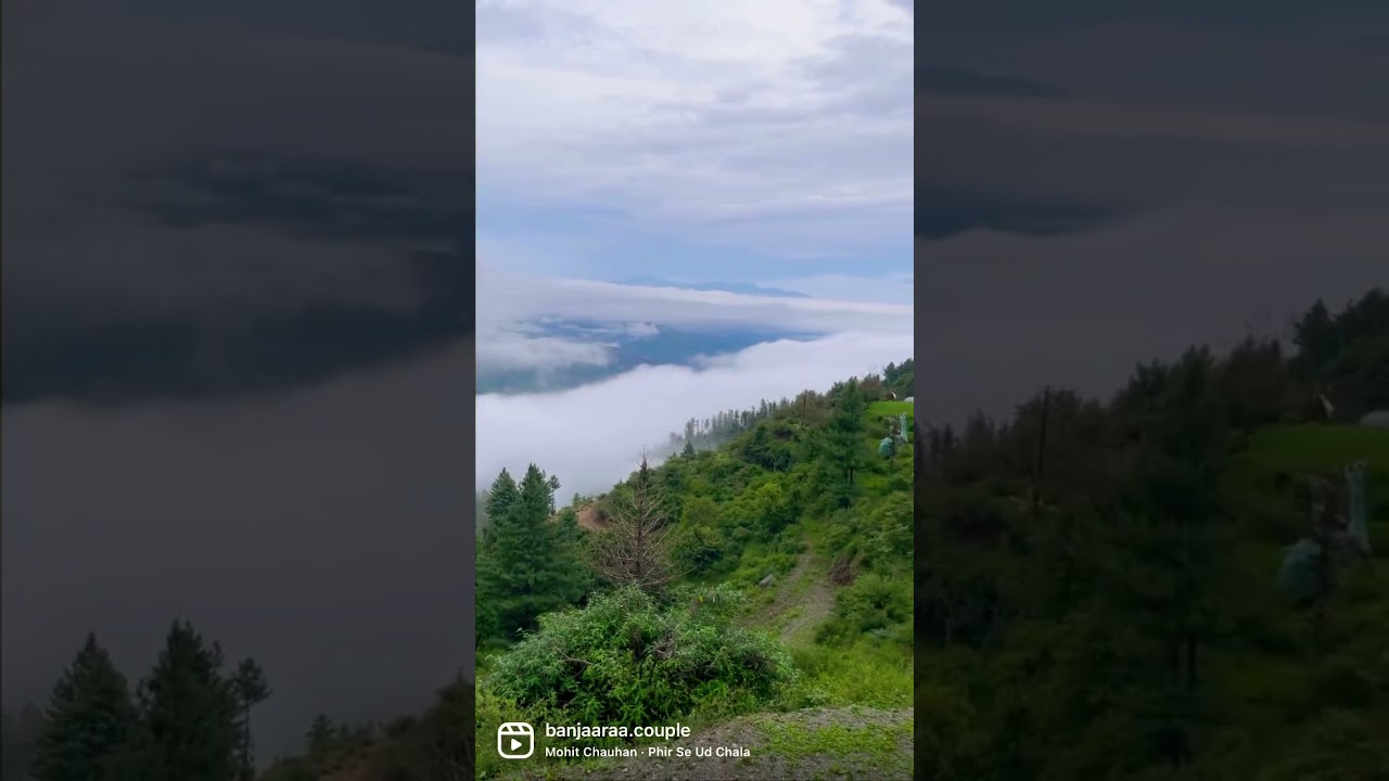 Video thumbnail: Fagu, Shimla. #shorts #shortsvideo #reelitfeelit #shortsyoutube #reelskarofeelkaro #travel #mountain