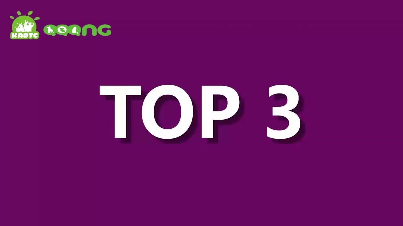 Kadtc Amazon Top Dog Puzzle toys brain stimulating game smart treat toy