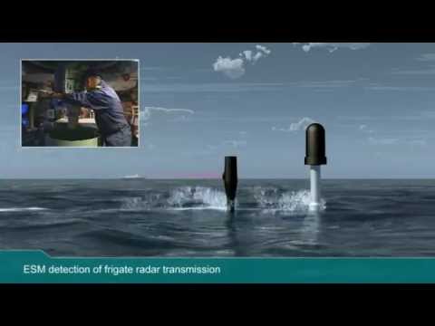 DCNS SUBTICS (Submarine Tactical Integrated Combat System)