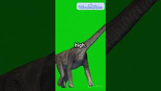 Discover Dinosaurs in 60 Seconds