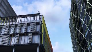 Contenedor lleno de vida – street art short, street artist Barna, arte urbano Barcelona – Barcelona street art video