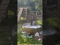 Cocoon's bubble bath