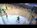 Czechia vs Ireland / Foam Men / Dodgeball World Championships 2024