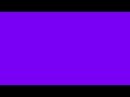 12 Hours of Violet Screen In HD | TV, Mobile Phone, Tab Compatible Violet Screen Video | Screensaver