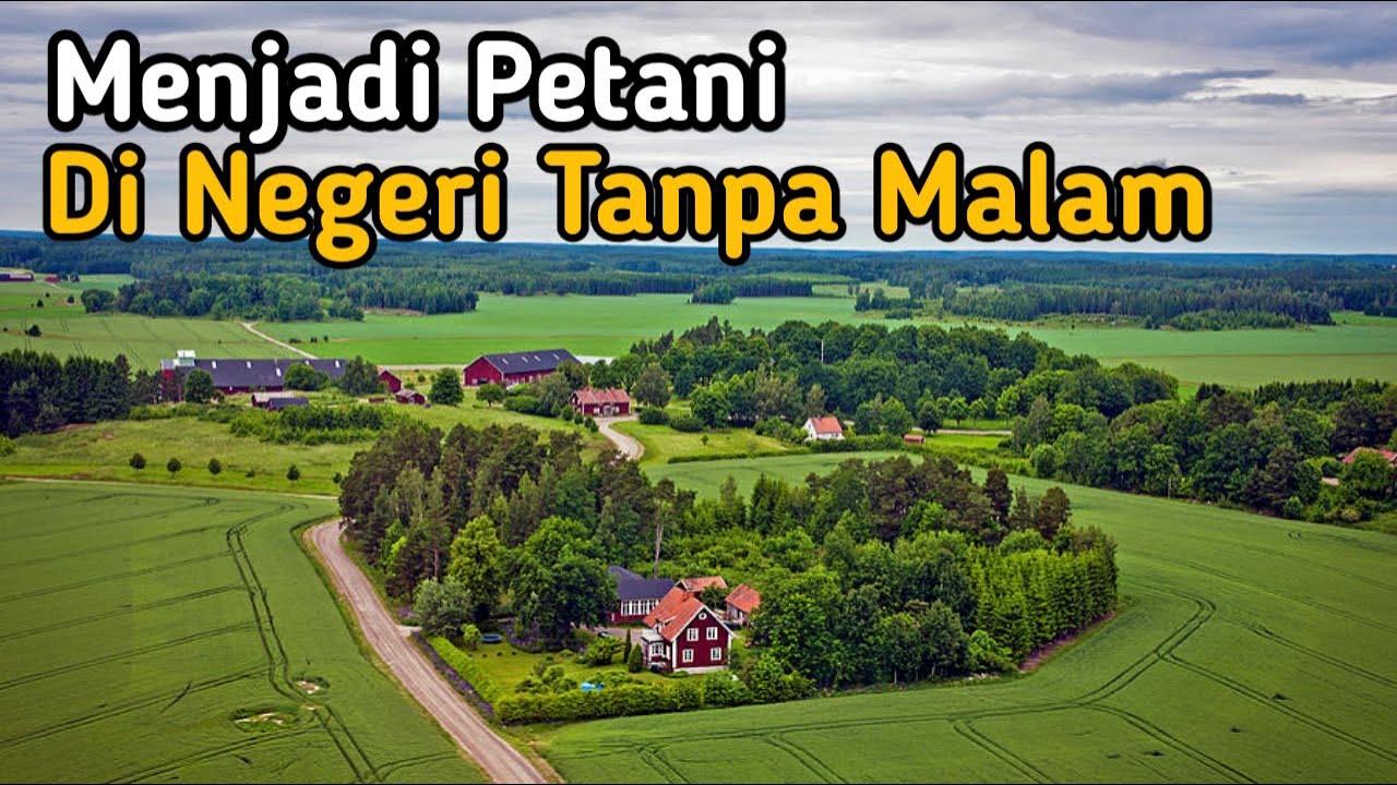 Menjadi Petani di Negeri Tanpa Malam ll Ikutin Keseruan Malam Hari yang Terang di Negara Swedia ll