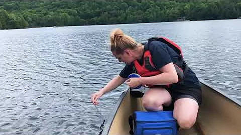 Testing for Water Clarity - Water Rangers