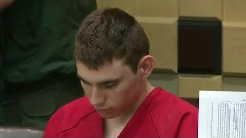 Florida school shooting suspect attends court hearing
