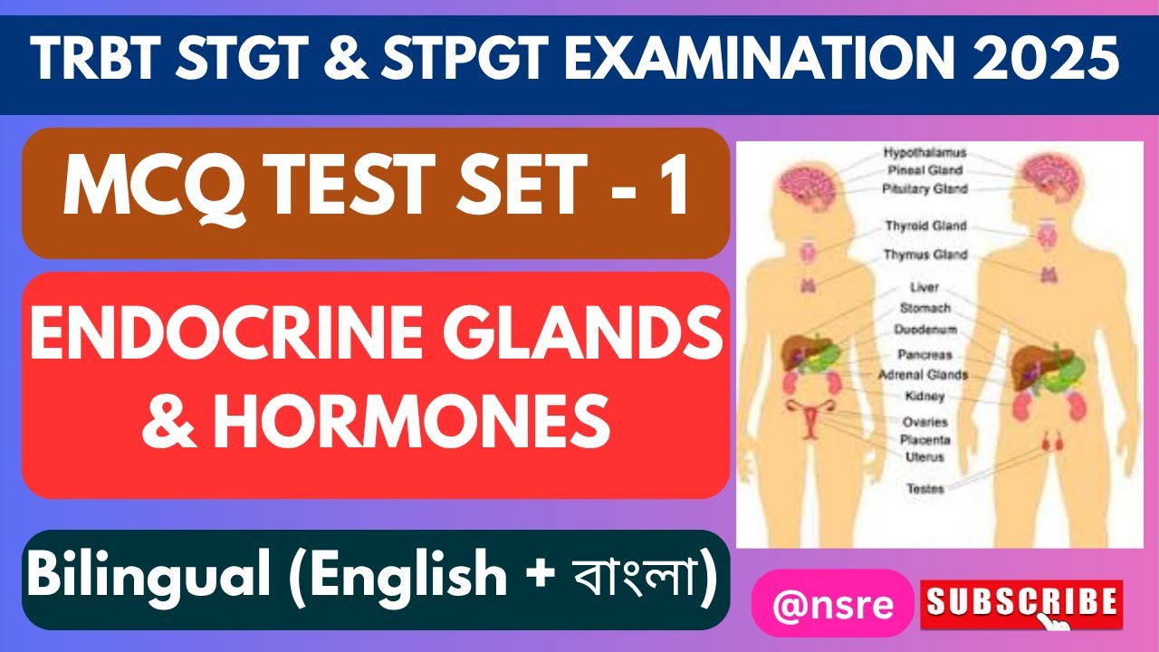 Endocrine Glands & Hormones MCQ Test | STGT STPGT NEET AIIMS TBJEE | Human Endocrine System | NSRE