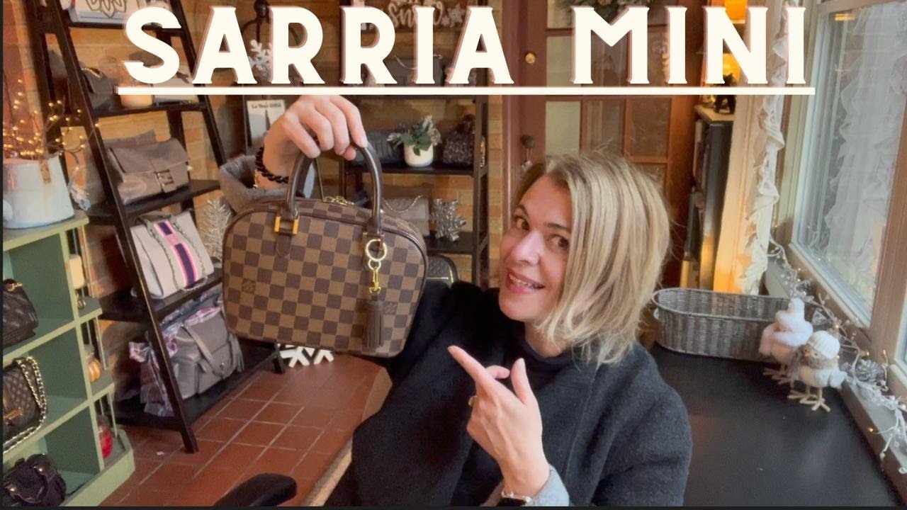 Brown Louis Vuitton Damier Ebene Mini Ribera Handbag