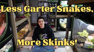Less Garter Snakes, More Skinks